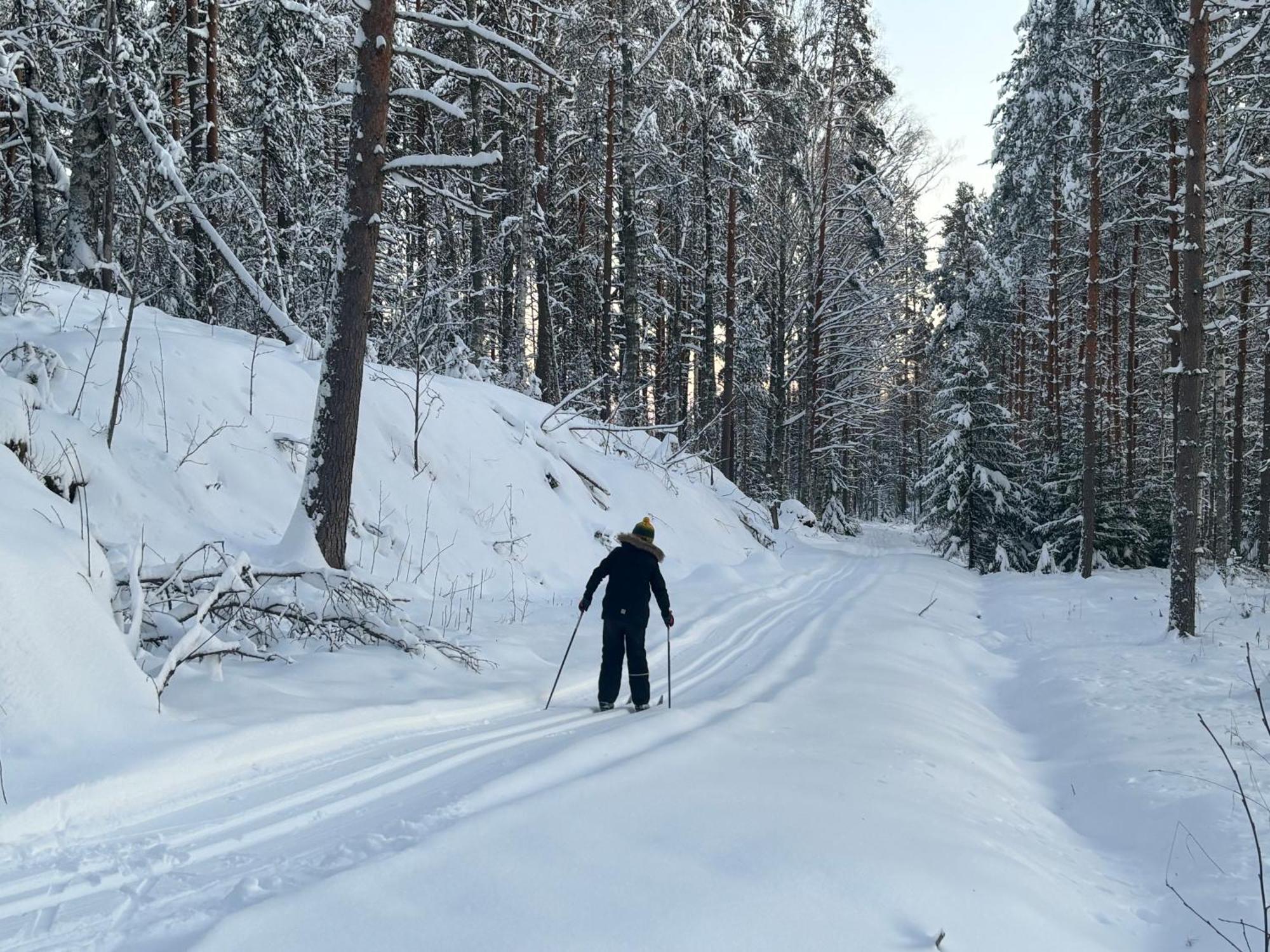 Tarula Holiday Home Melkoniemi المظهر الخارجي الصورة